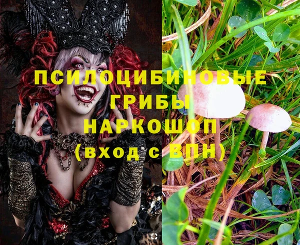 MESCALINE Ельня