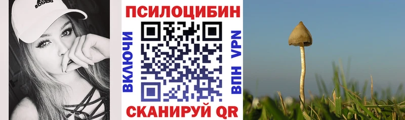 Галлюциногенные грибы GOLDEN TEACHER  Купить где  Находка 